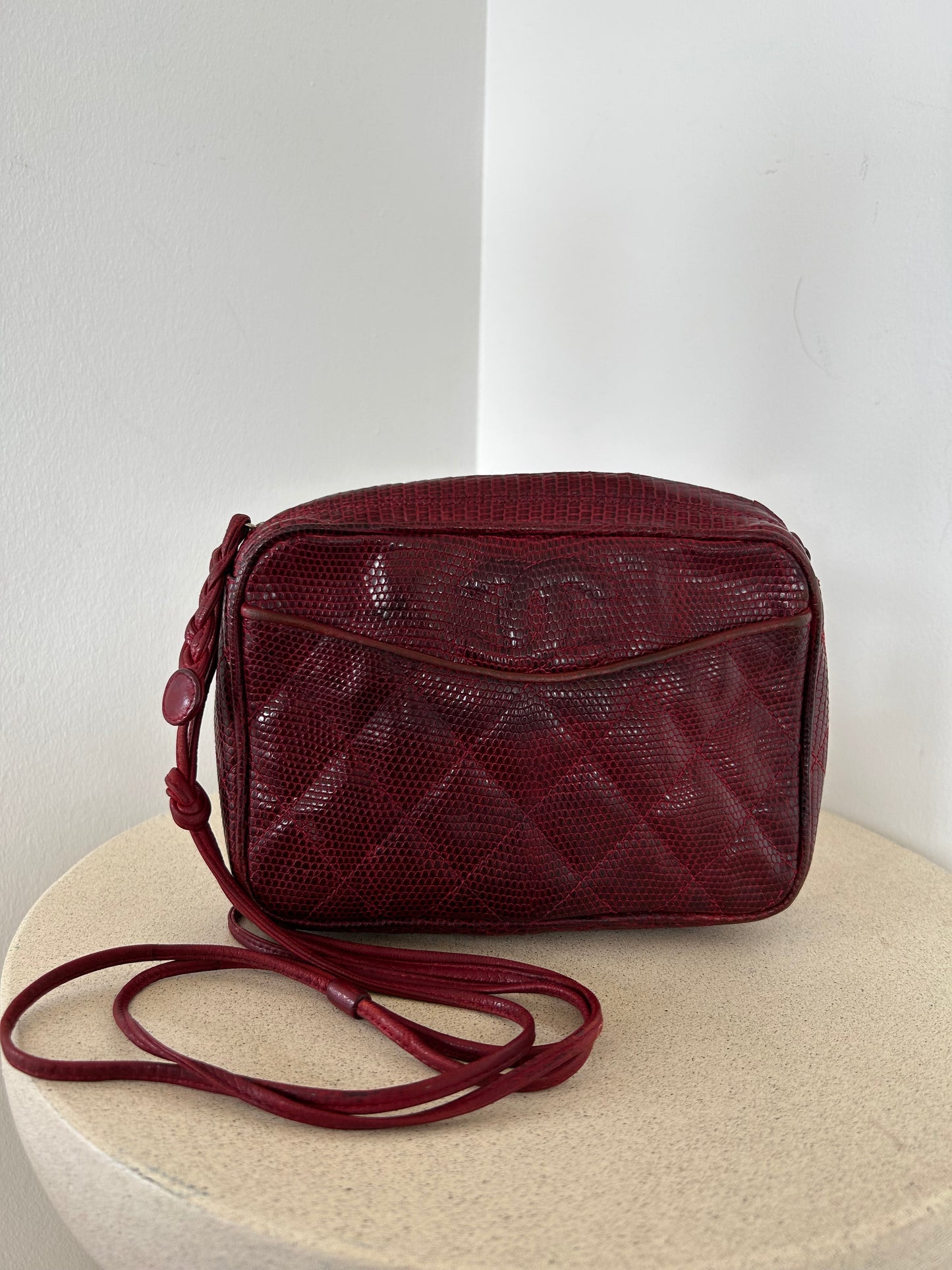 Chanel Reptile Camera Bag