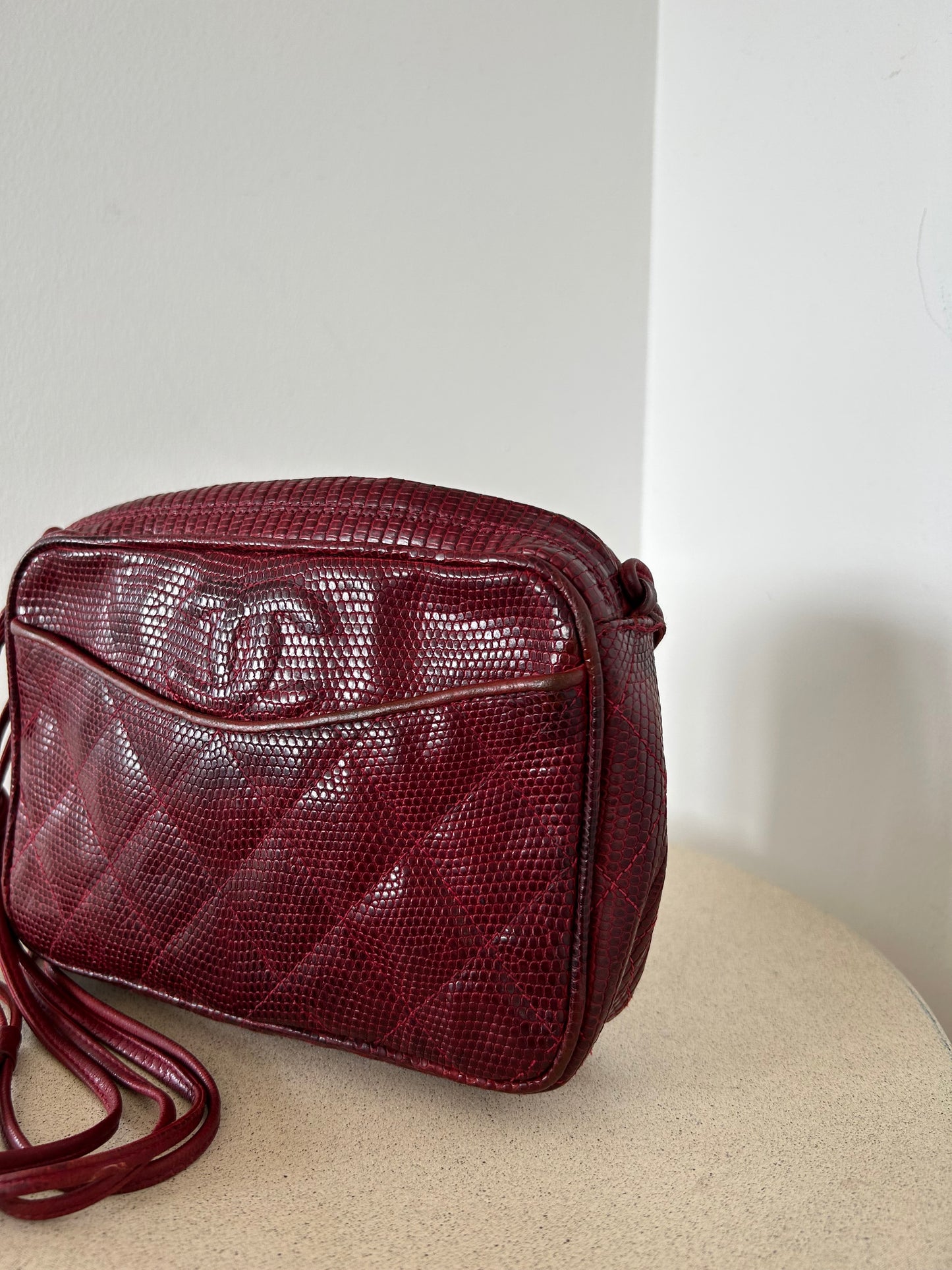 Chanel Reptile Camera Bag