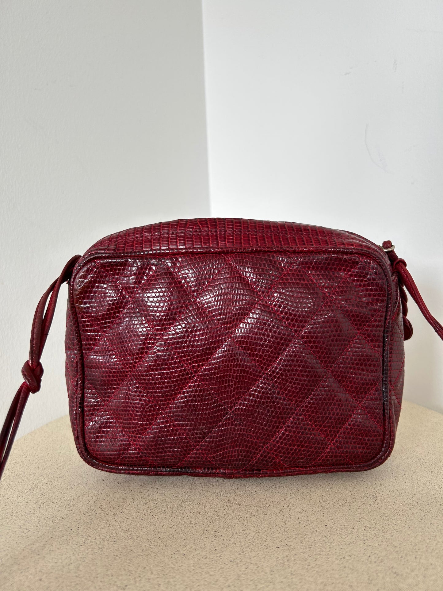 Chanel Reptile Camera Bag