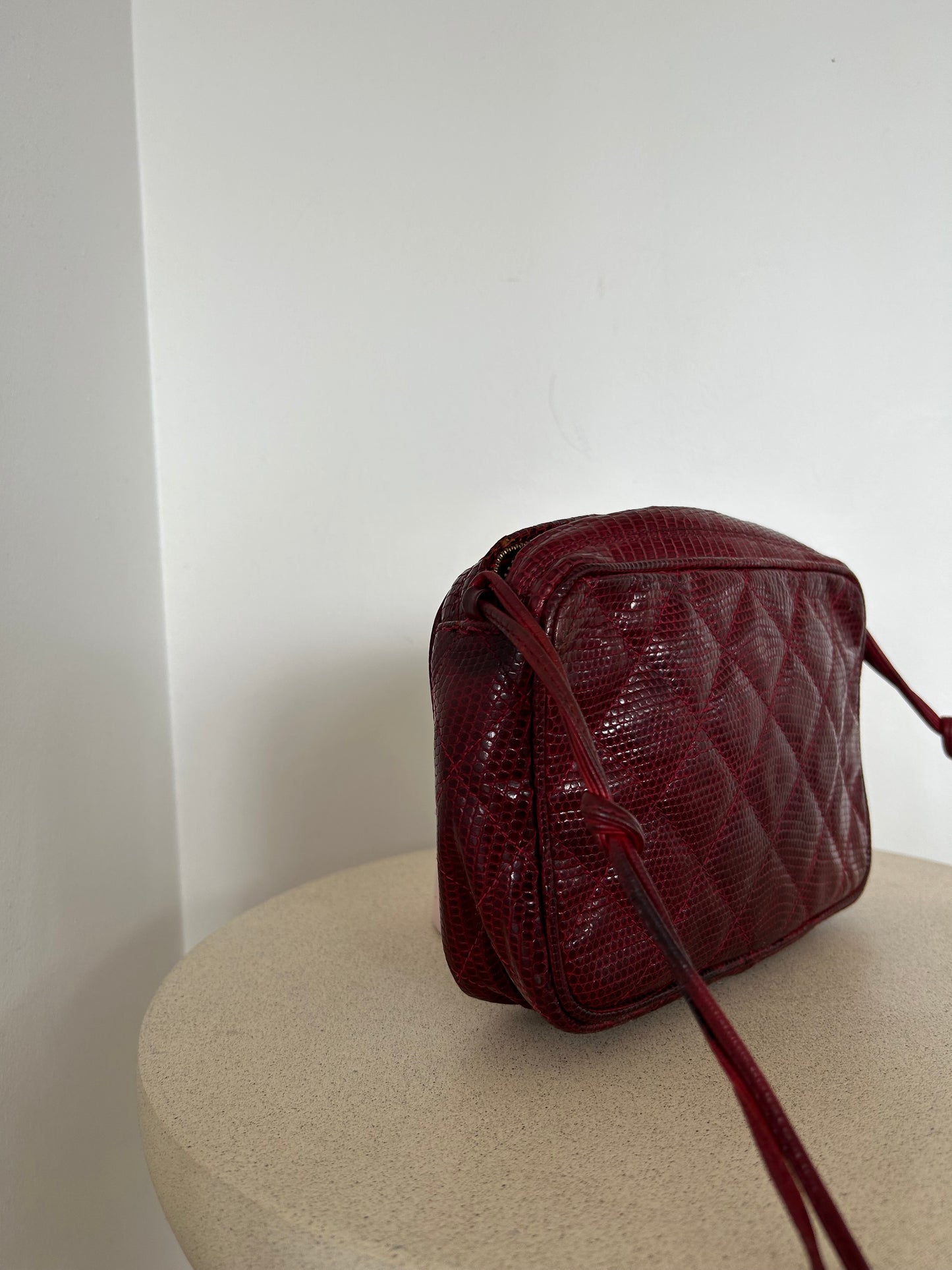 Chanel Reptile Camera Bag