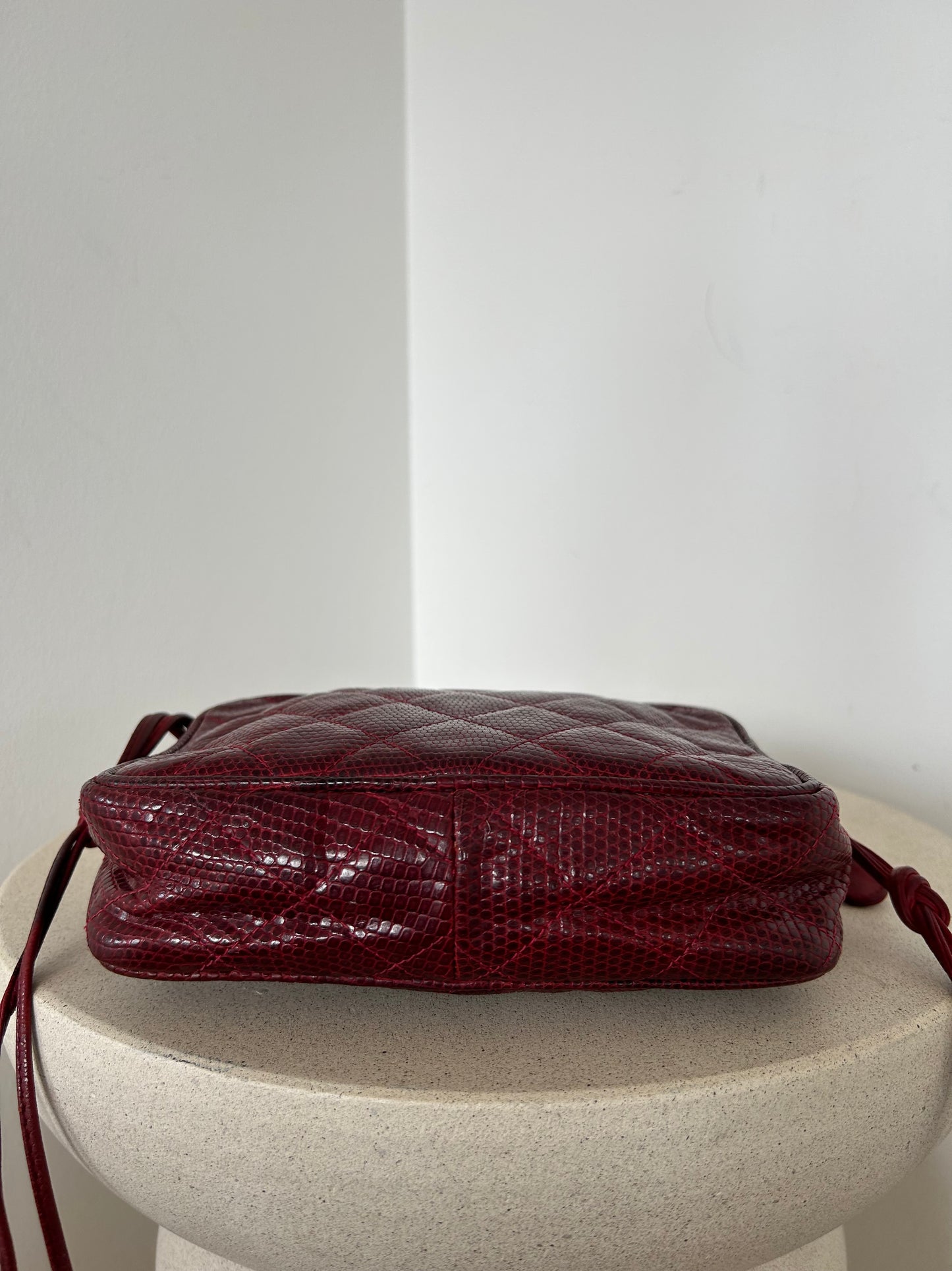 Chanel Reptile Camera Bag