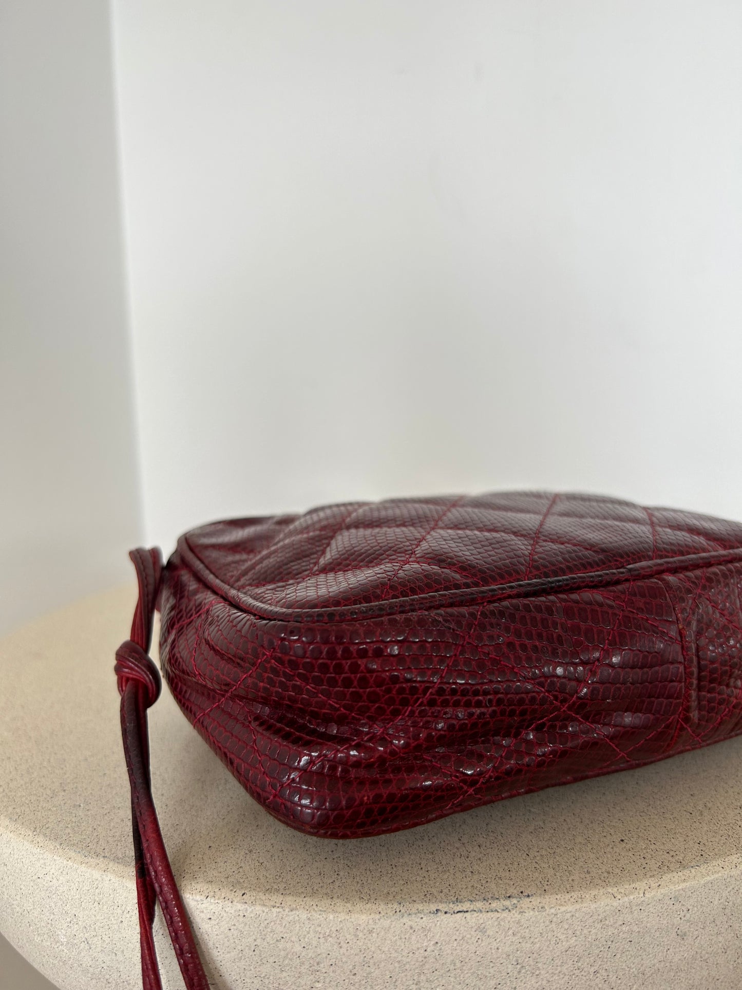 Chanel Reptile Camera Bag
