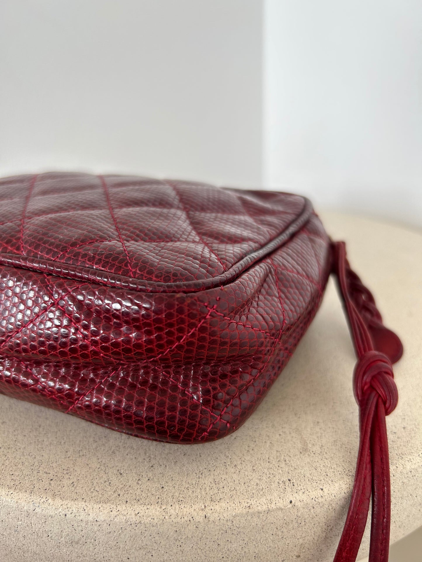 Chanel Reptile Camera Bag