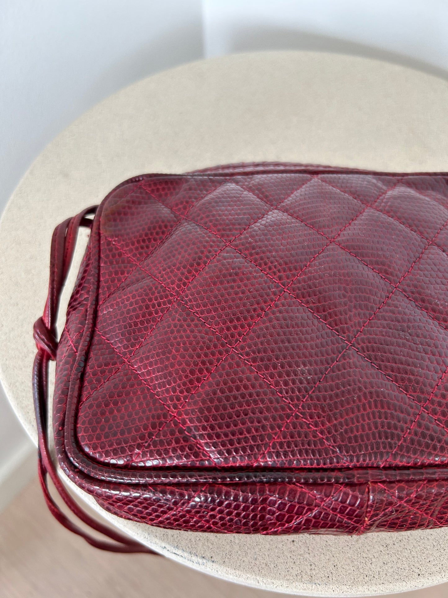 Chanel Reptile Camera Bag