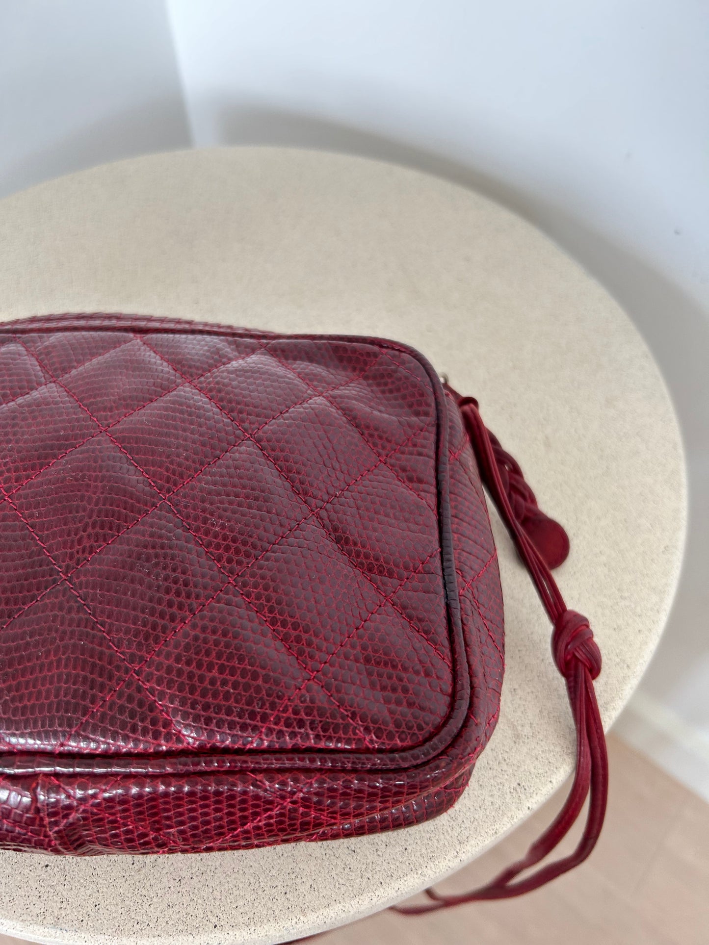 Chanel Reptile Camera Bag