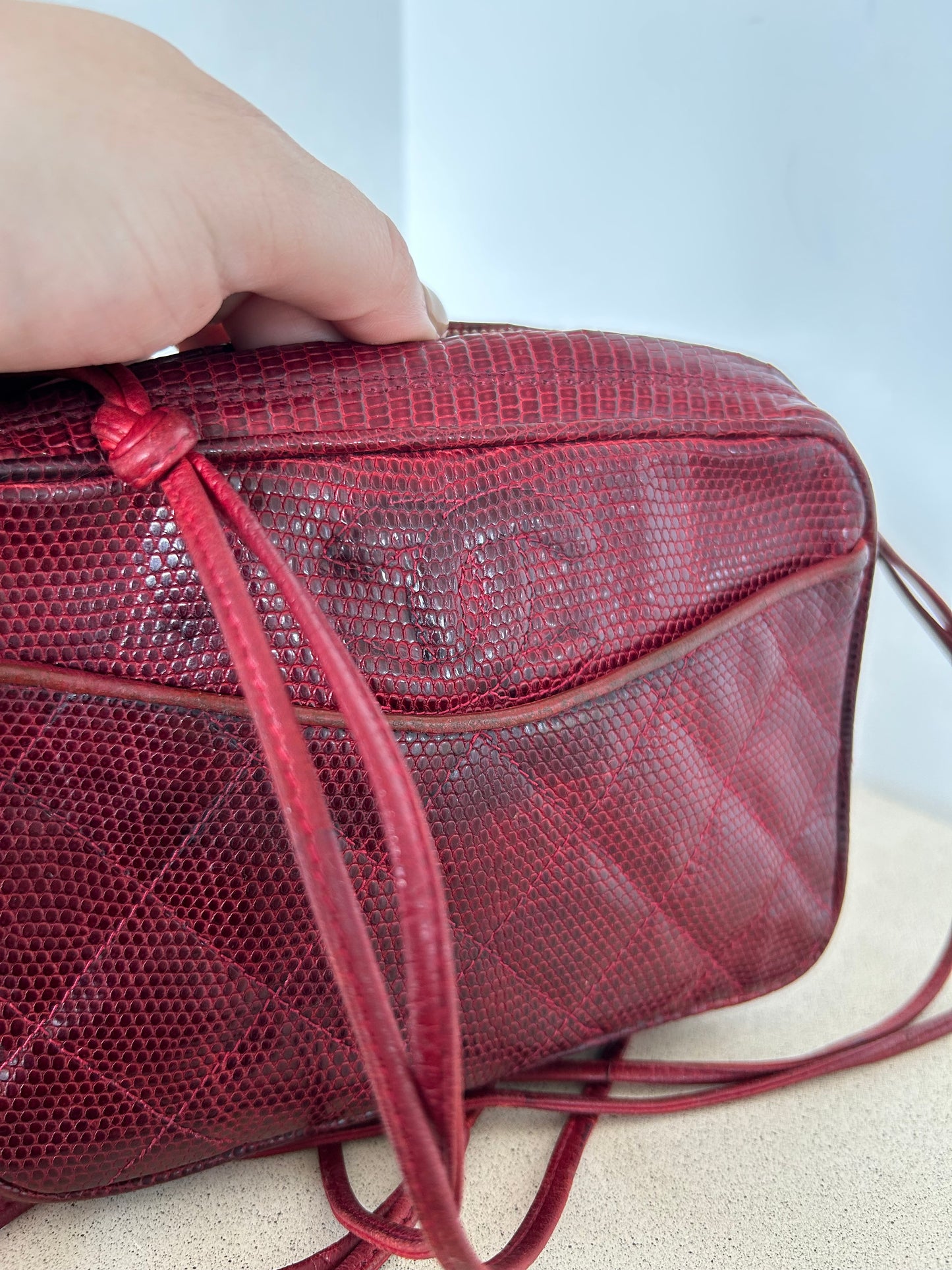 Chanel Reptile Camera Bag