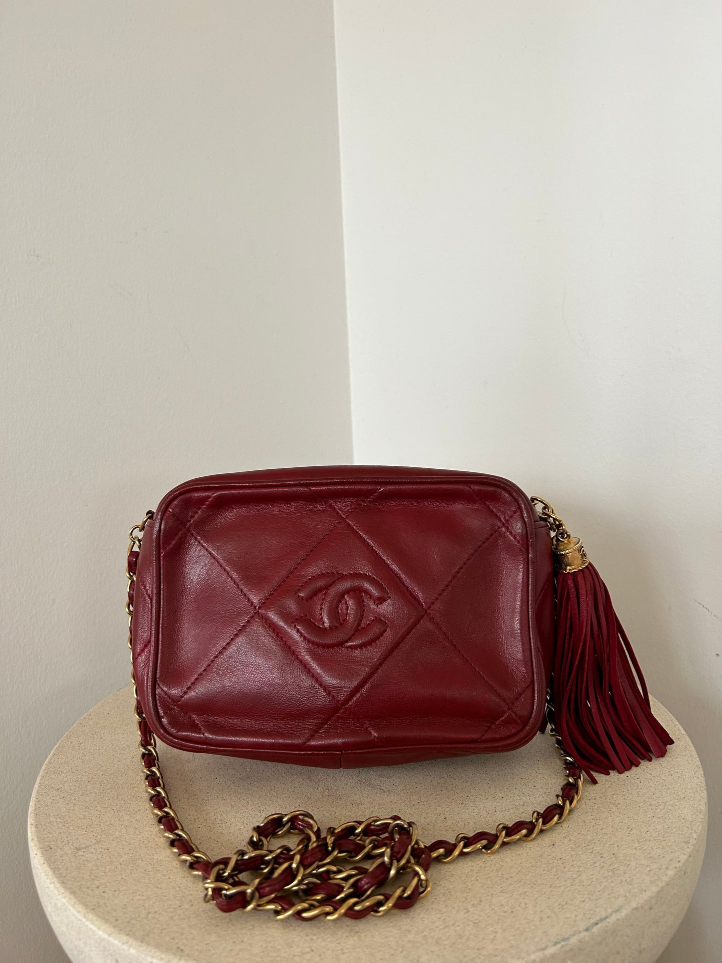 Chanel Camera Bag