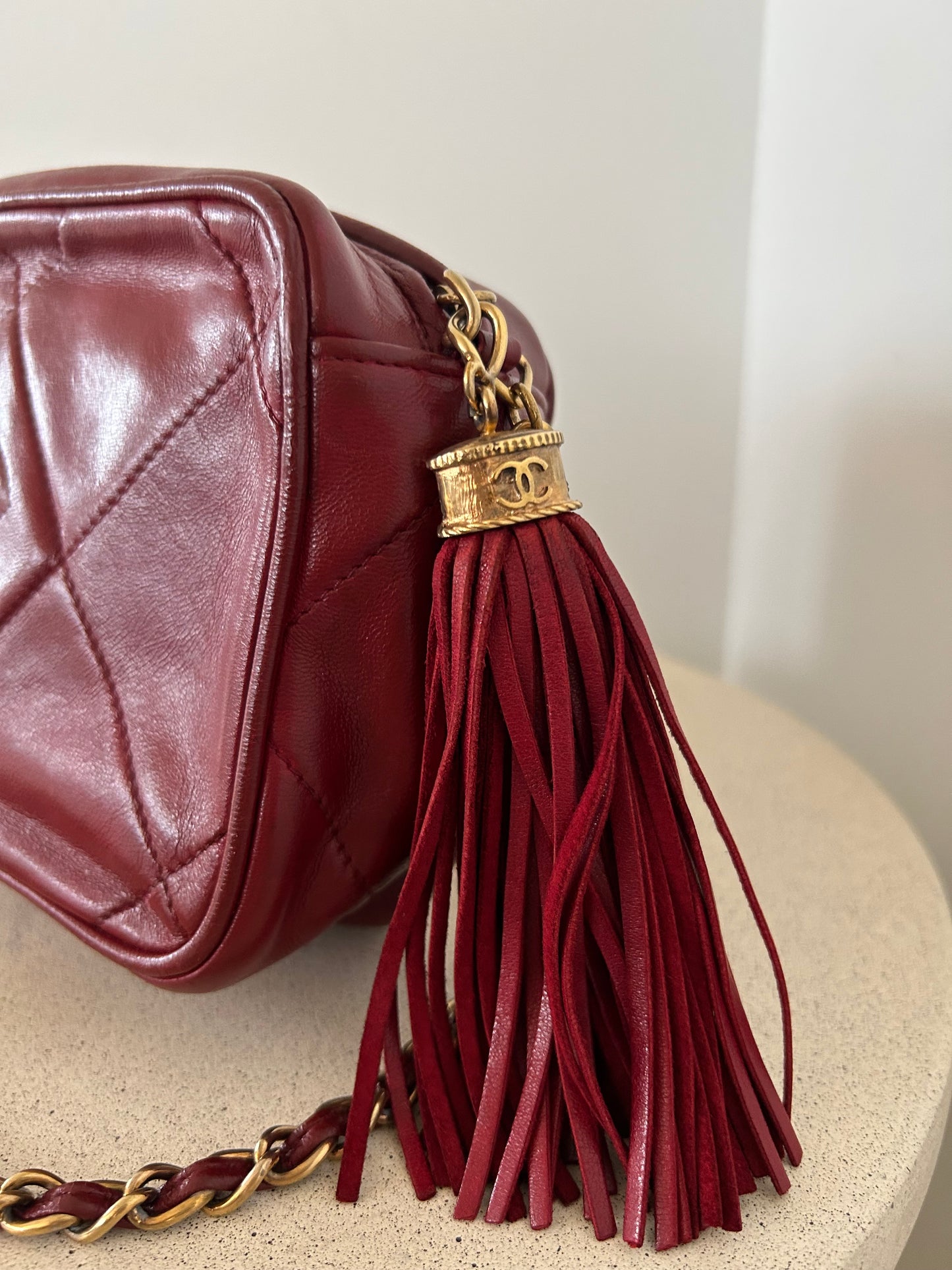 Chanel Camera Bag