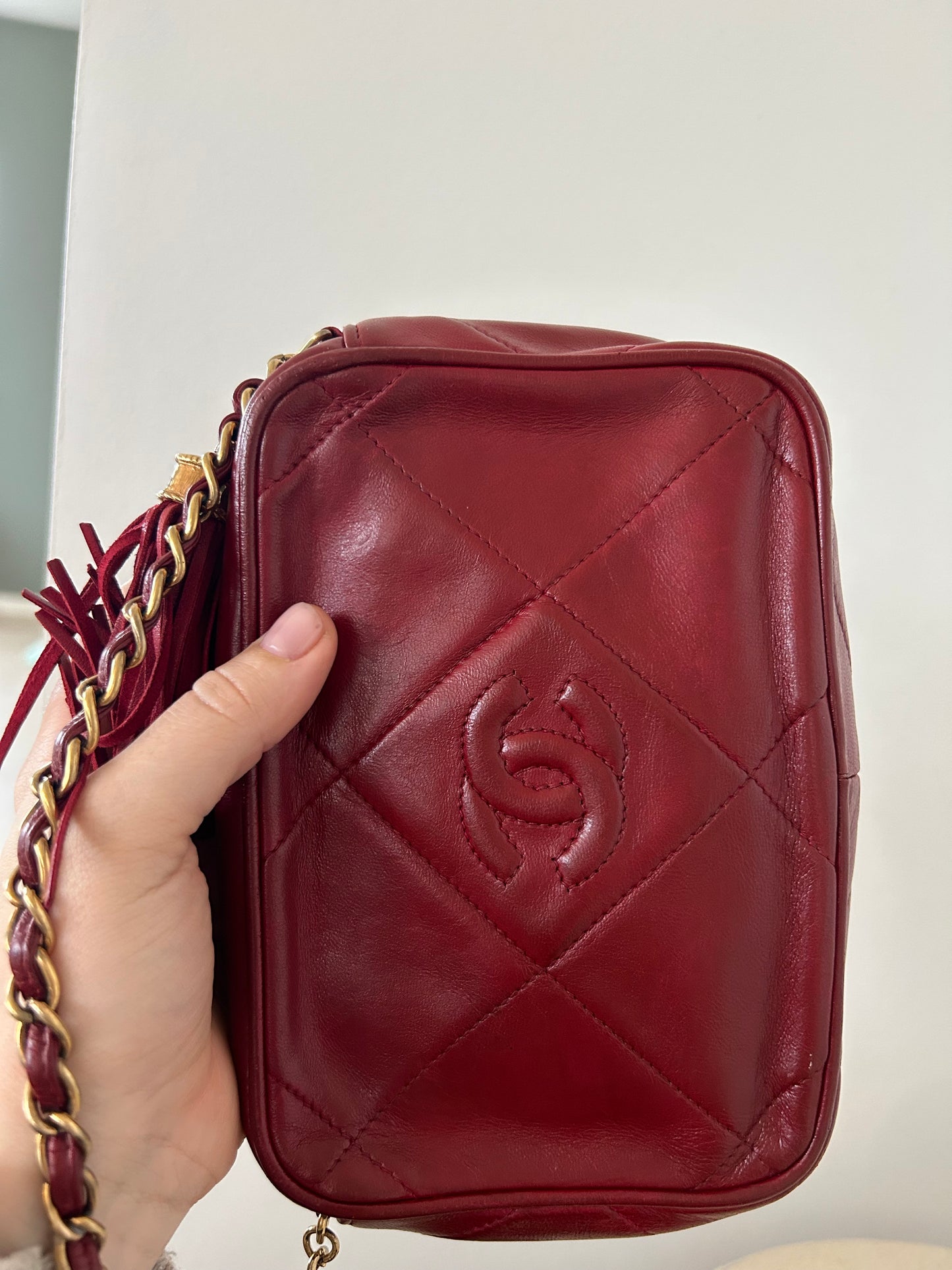 Chanel Camera Bag