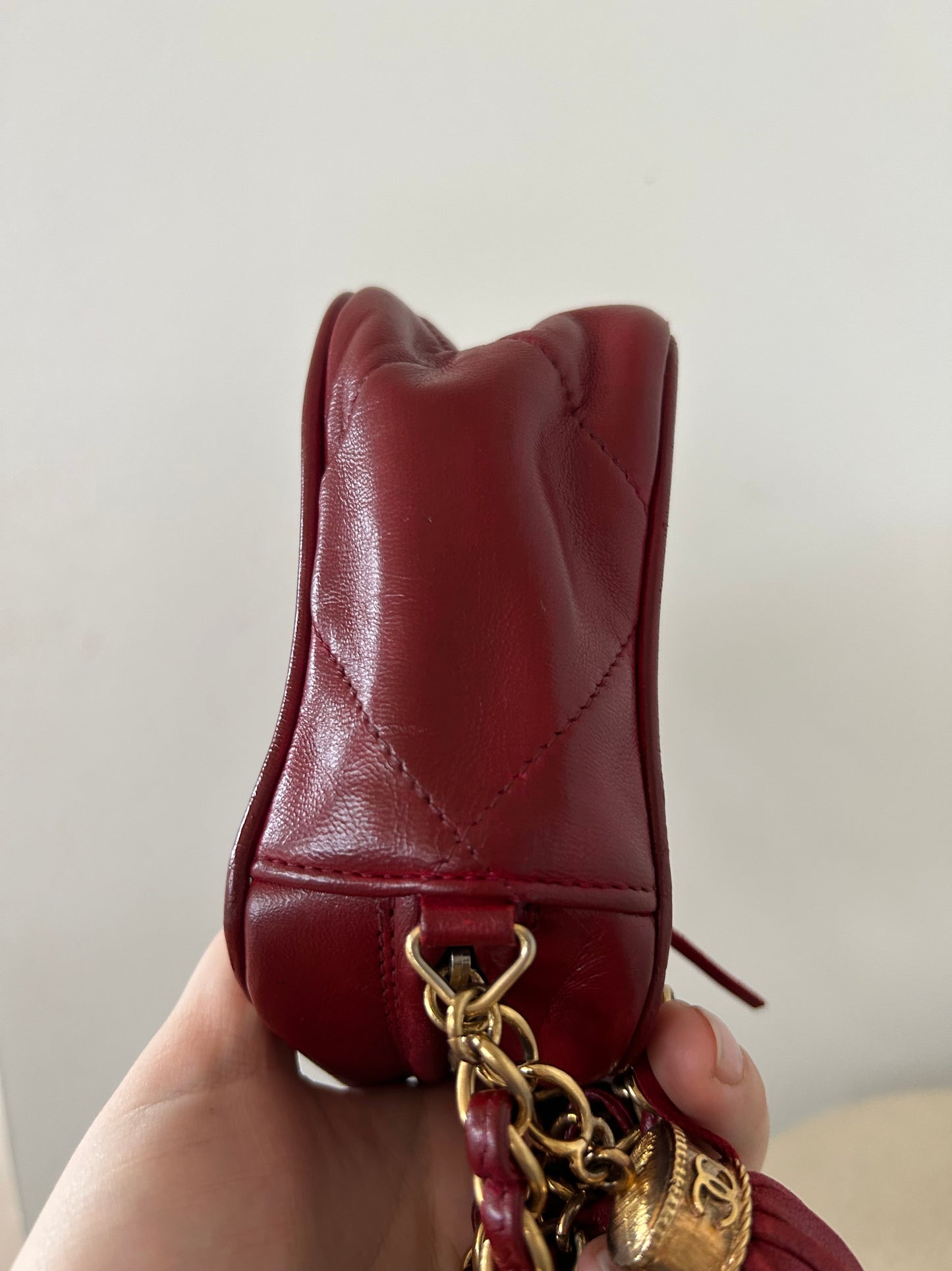 Chanel Camera Bag