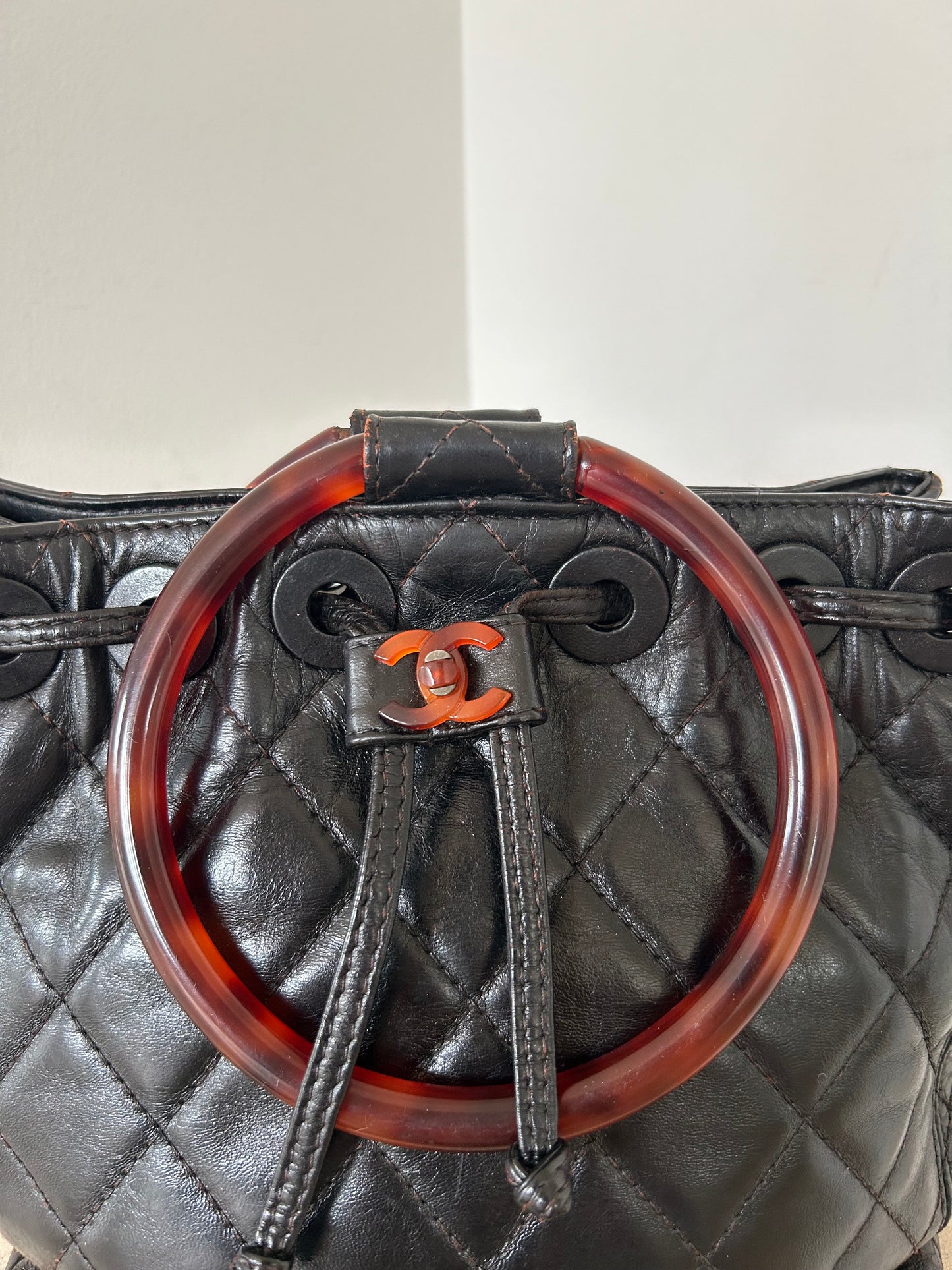 Chanel Tortoise Round Handle Bag