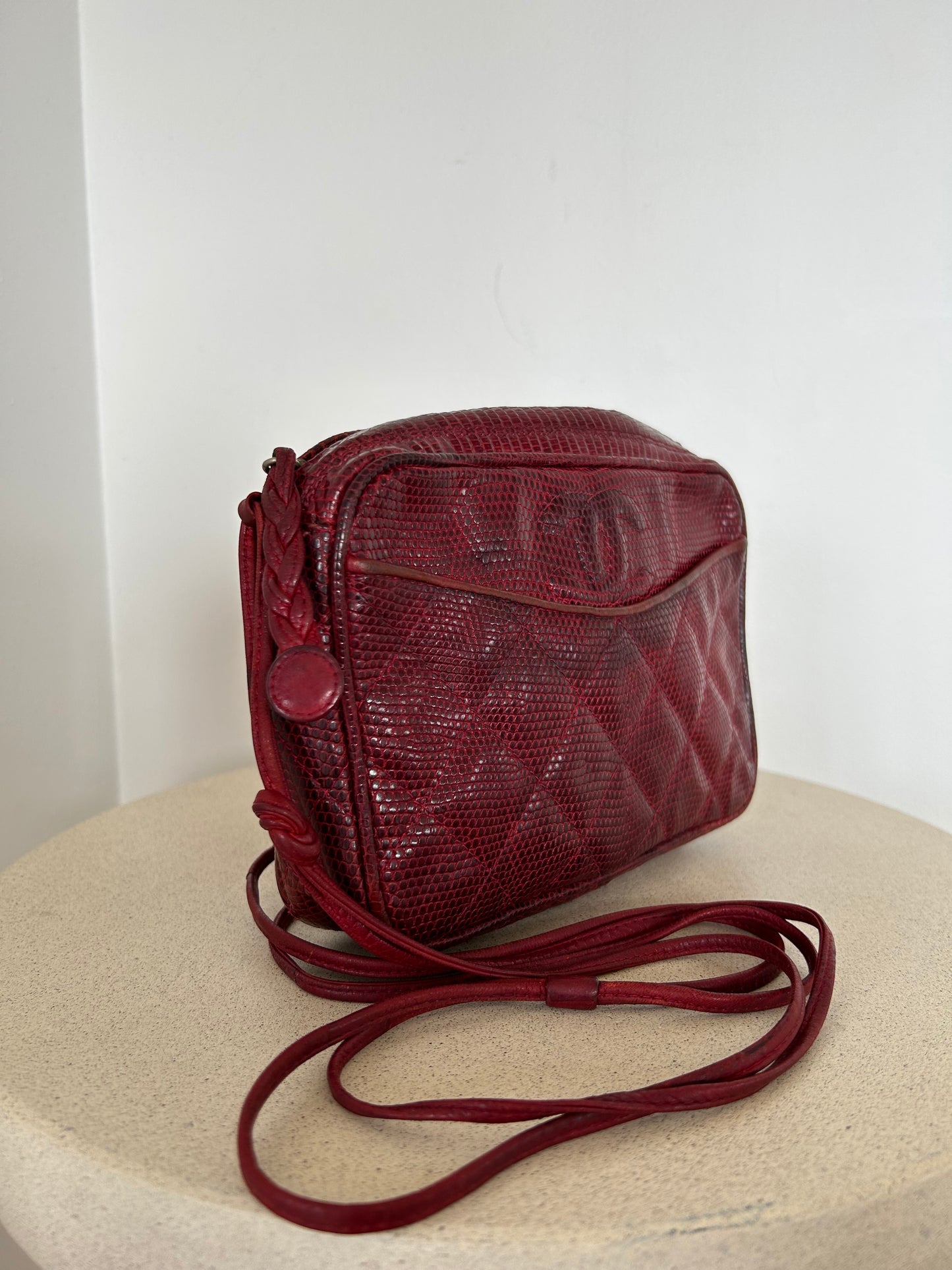Chanel Reptile Camera Bag