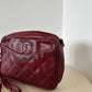 Chanel Reptile Camera Bag