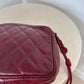 Chanel Reptile Camera Bag