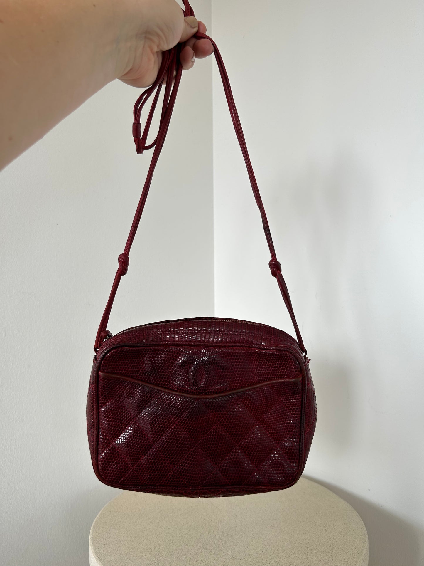 Chanel Reptile Camera Bag
