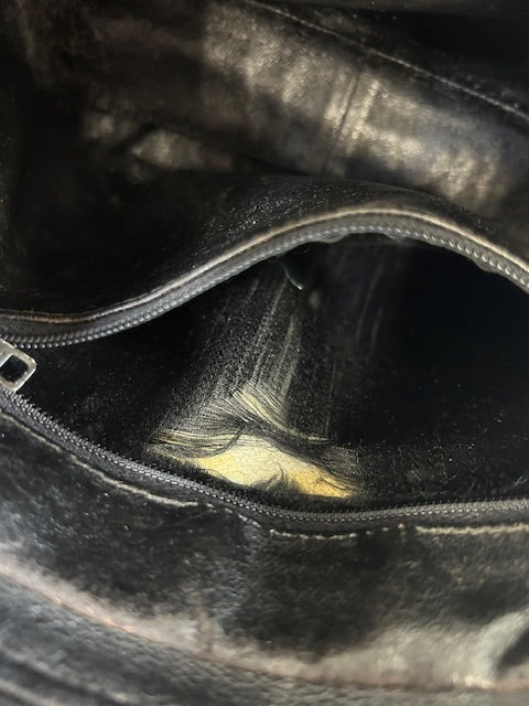 Chanel Lizard Camera Bag