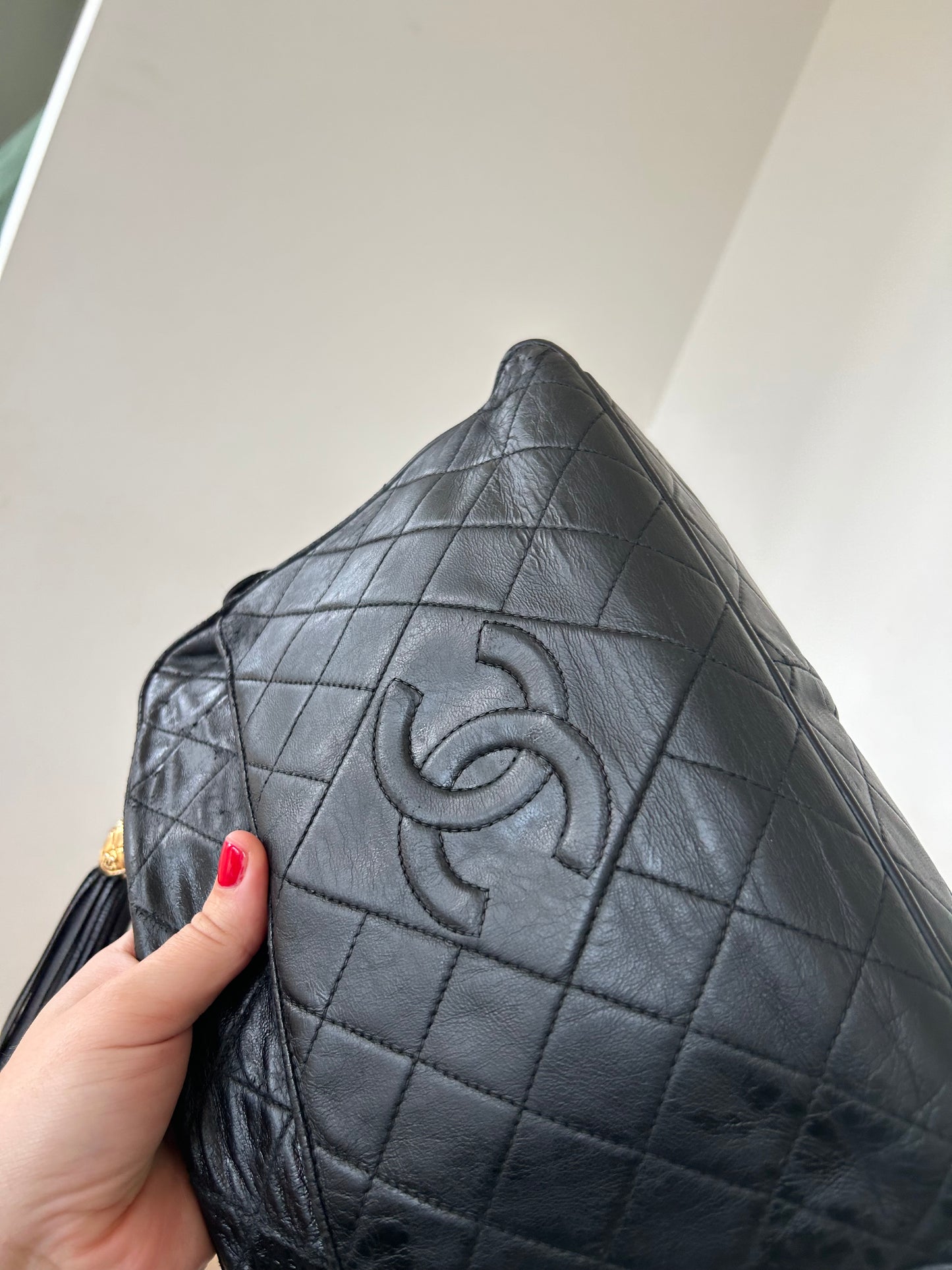 Chanel Camera Bag Large