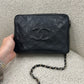 Chanel Lizard Camera Bag
